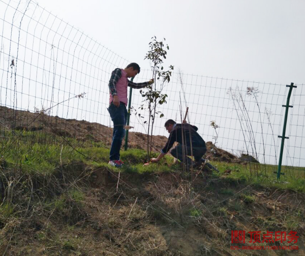 ֲ��(sh��)��